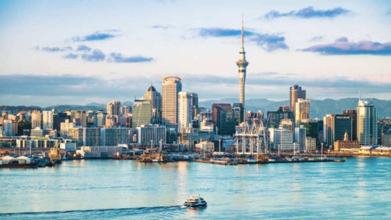 AerCaribe Auckland Office in New Zealand