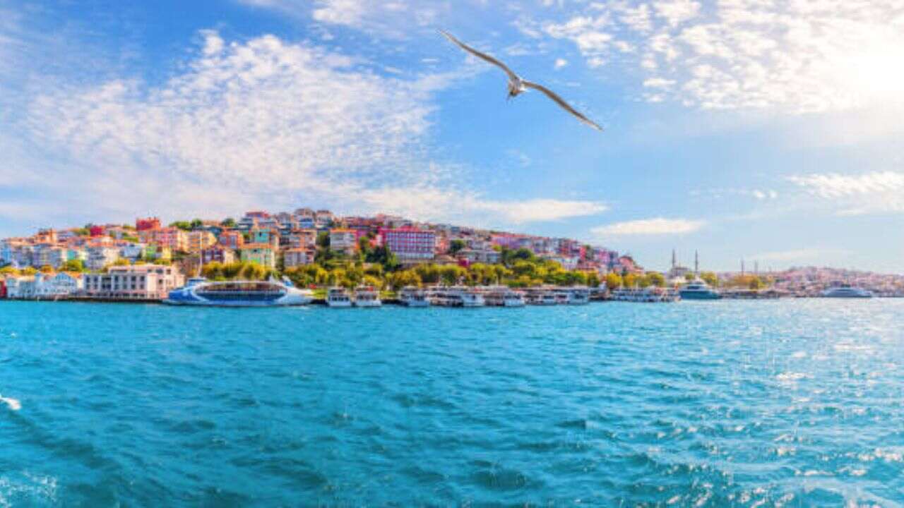 Pegasus Airlines Muş Office in Turkey