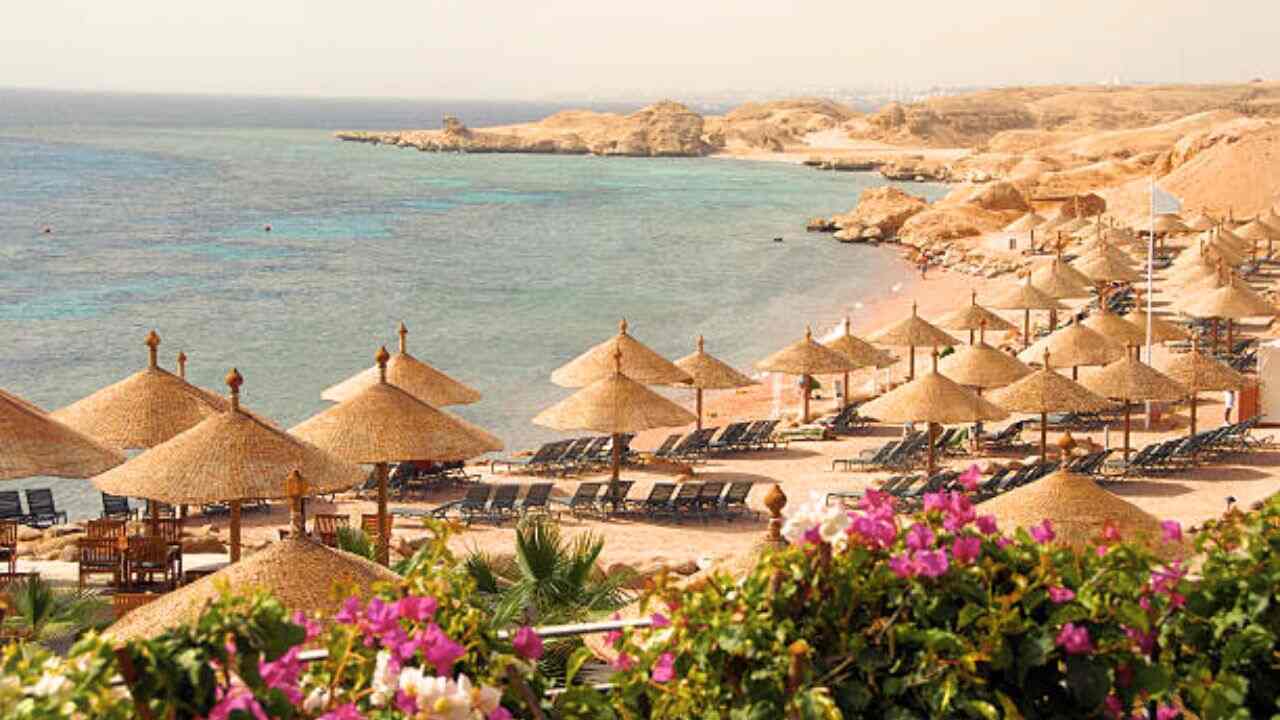 FlyOne Sharm El Sheikh Office in Egypt