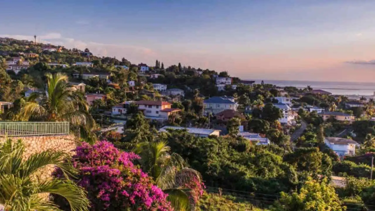 Copa Airlines Kingston Office in Jamaica Copa Airlines Kingston Office in Jamaica