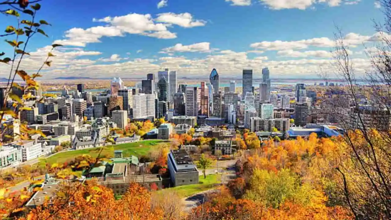 Qatar Airways Montreal Office in Canada