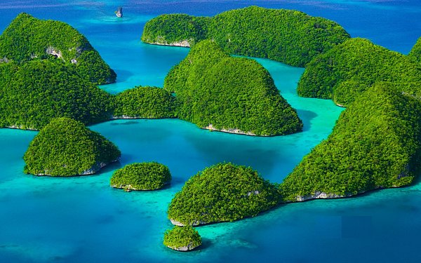 FlexFlight Koror Office in Palau