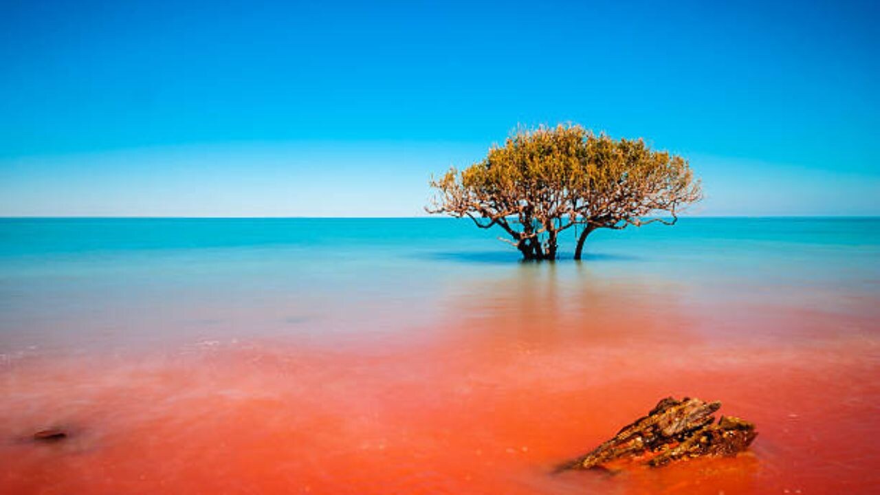 Virgin Australia Broome Office in Australia