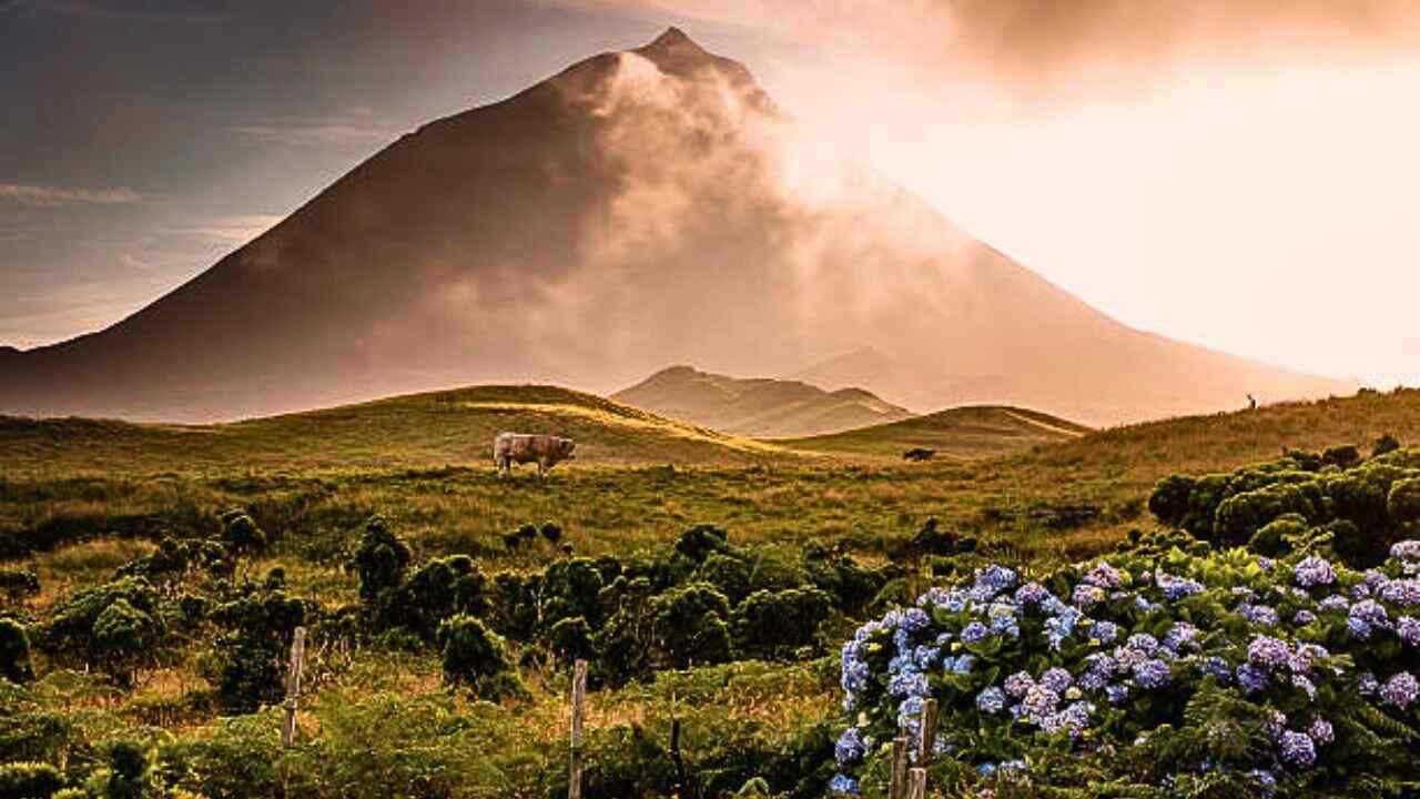 Azores Airlines Pico Island Office in Portugal