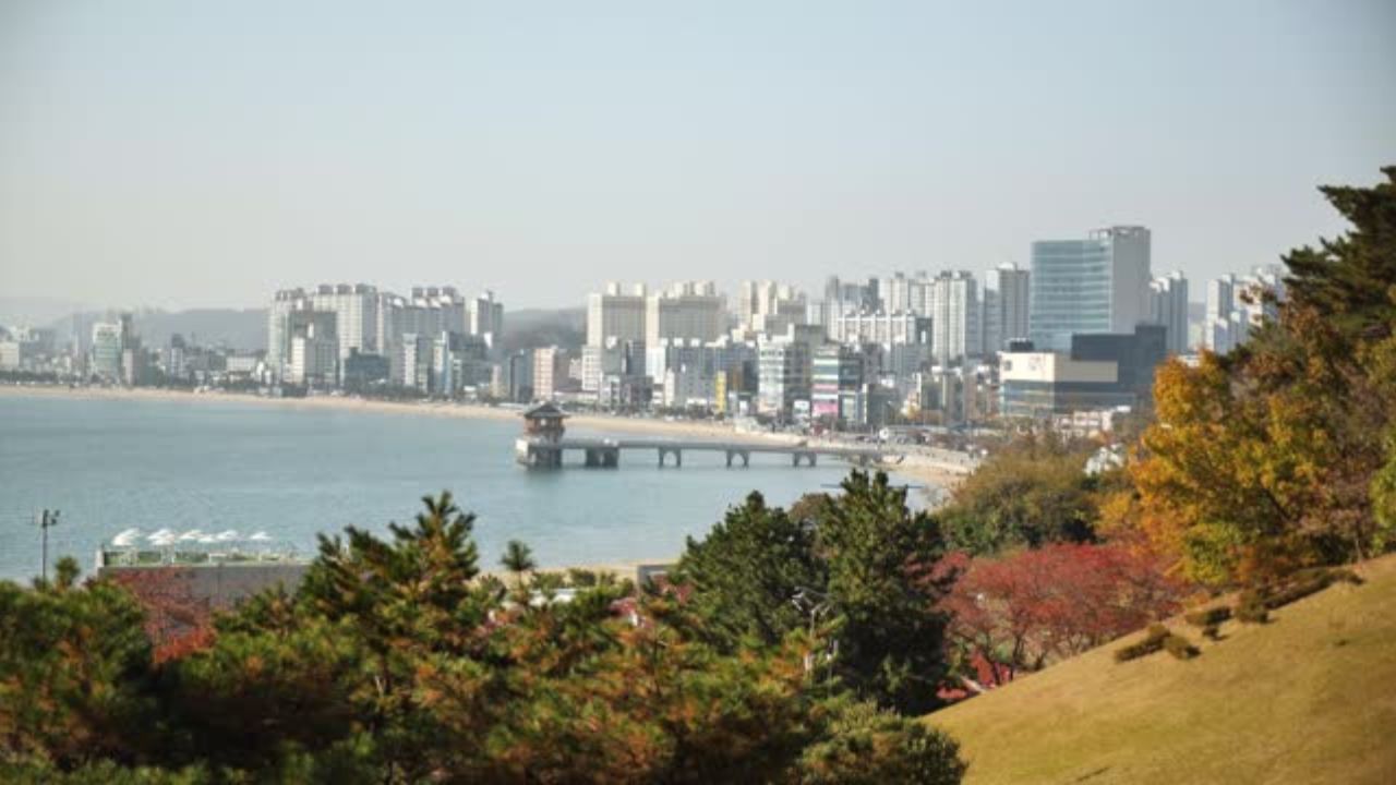 Jin Air Pohang Office in South Korea