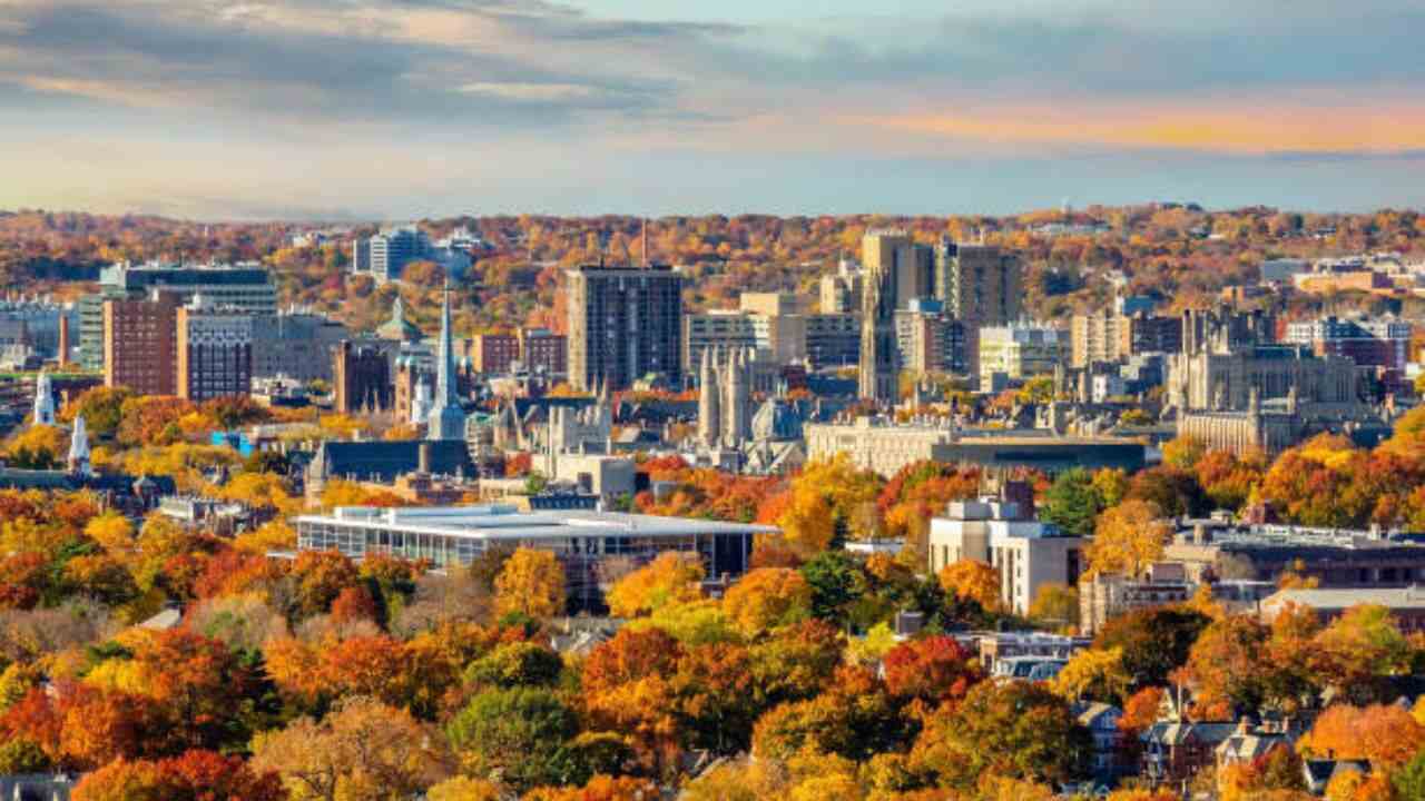 New Haven