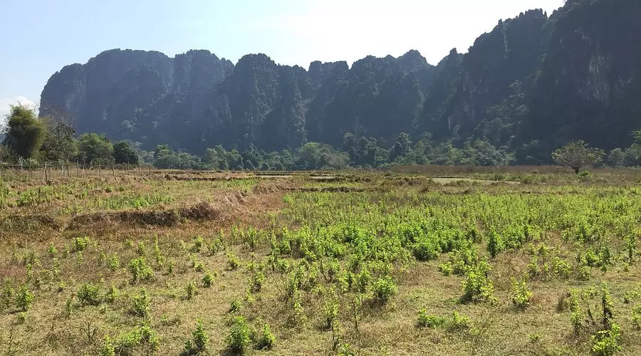 Lao Airlines Borkeo Office in Laos
