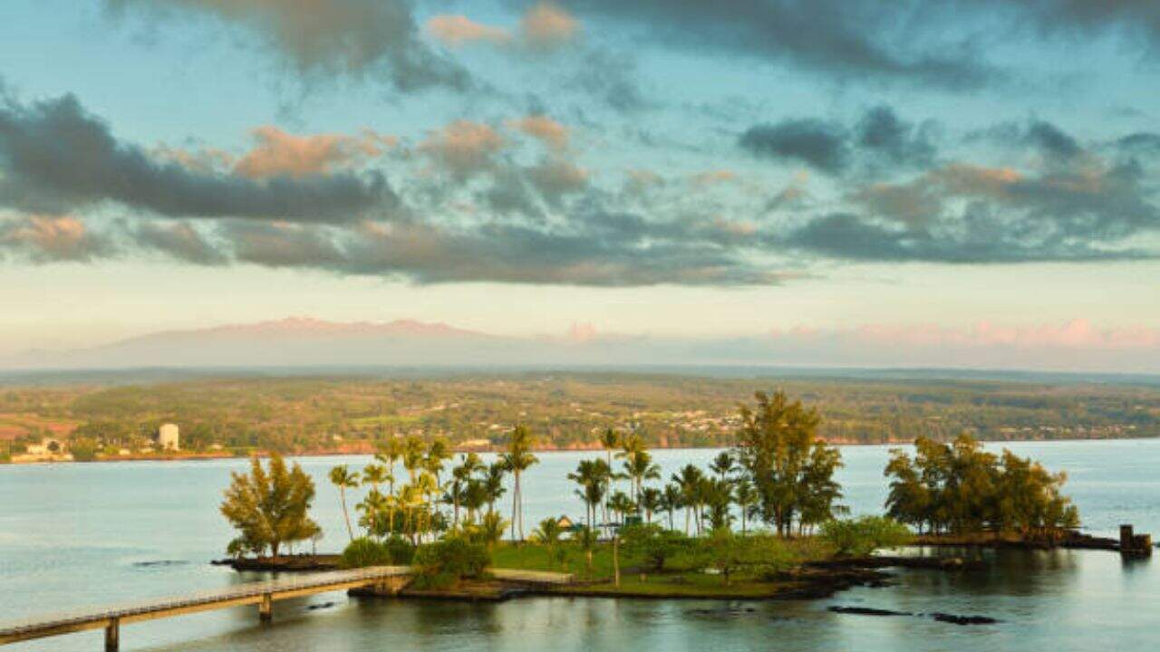 Coconut Island